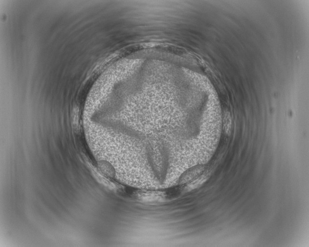 X0000085810670200704091608