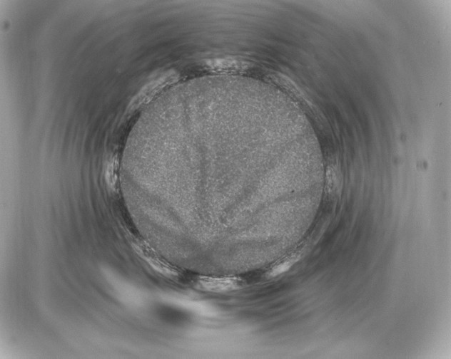 X0000085810671200704091608