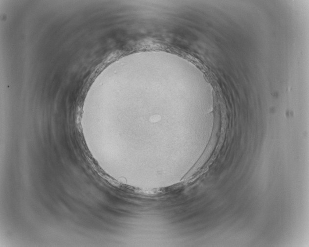 X0000085810672200704091608