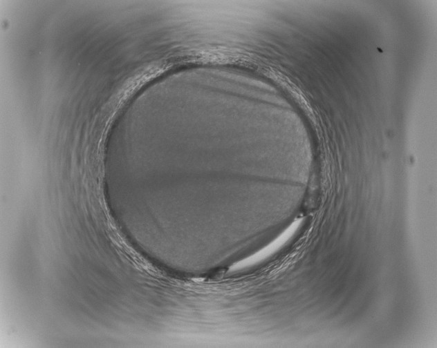 X0000085810673200704091607