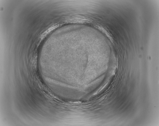 X0000085810675200704091607