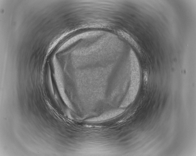 X0000085810676200704091607