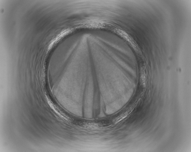 X0000085810677200704091607