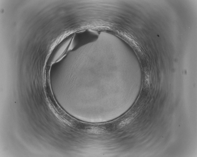 X0000085810678200704091607