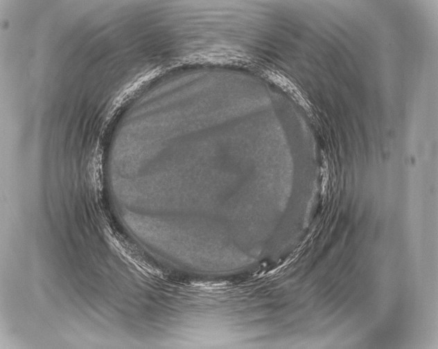 X0000085810680200704091607