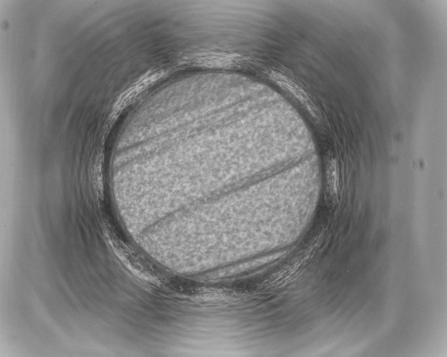 X0000085810682200704091607