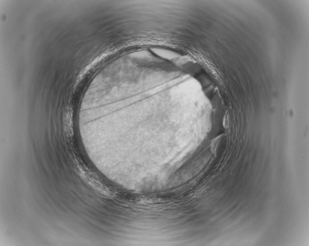 X0000085810684200704091607