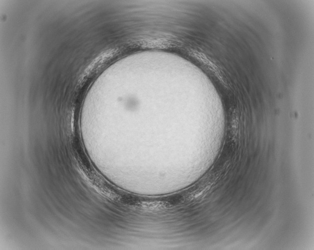 X0000085810686200704091607