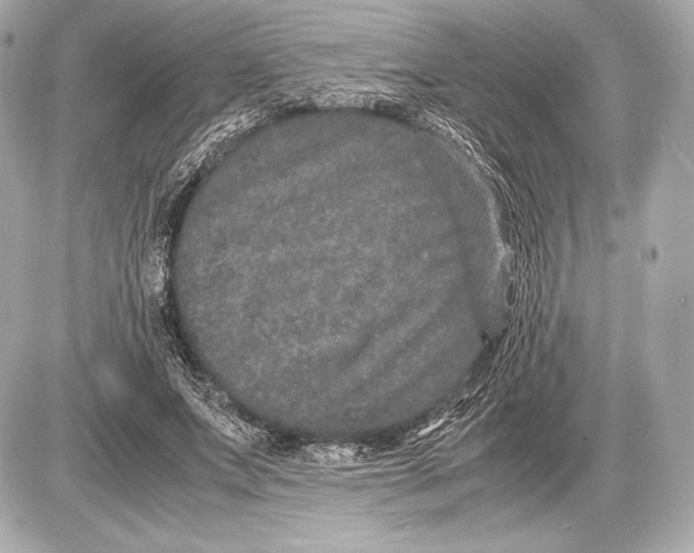 X0000085810687200704091607