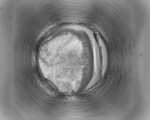 X0000085810688200704091607