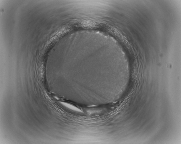 X0000085810689200704091607