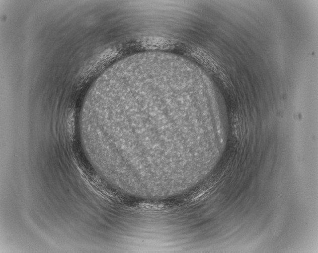 X0000085810690200704091607