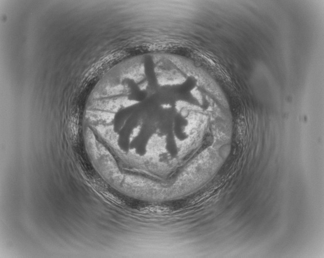 X0000085810691200704091607