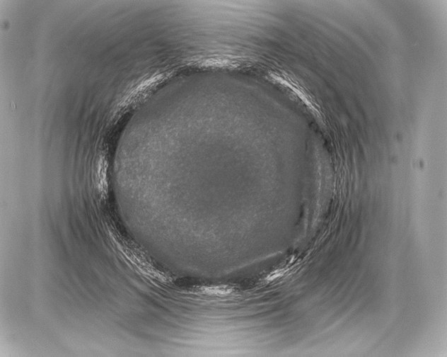 X0000085810692200704091607