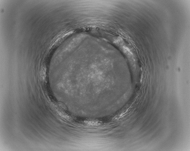 X0000085810693200704091607