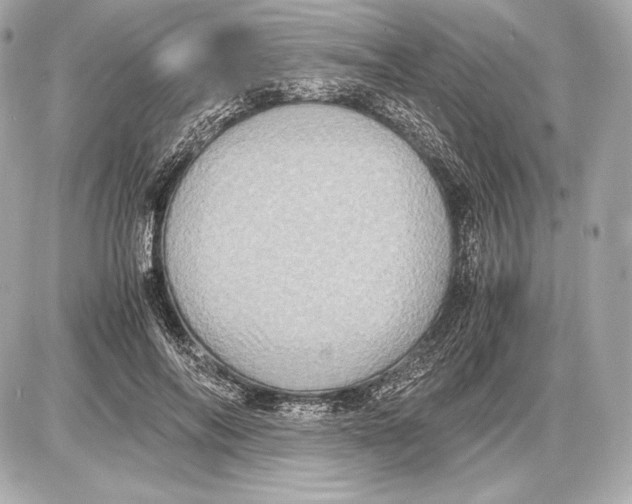 X0000085810694200704091607