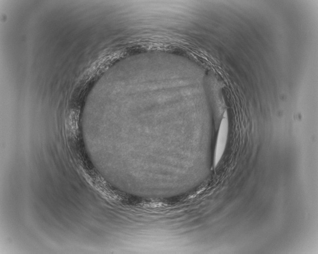 X0000085810695200704091607