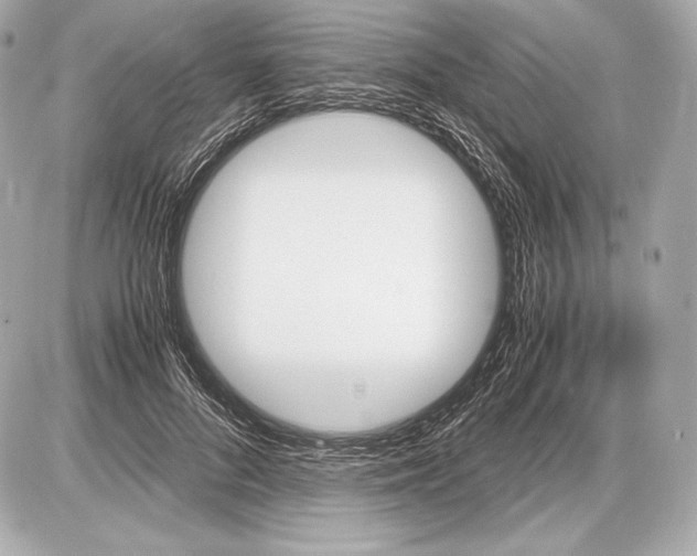 X0000085810696200704091607