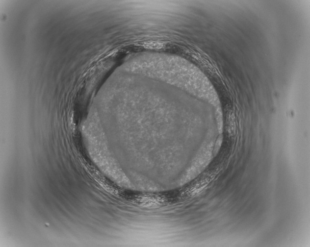 X0000085810697200704091607