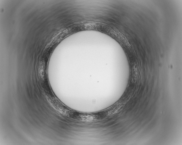 X0000085810698200704091607