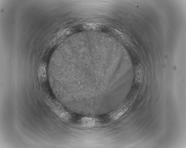 X0000085810699200704091607