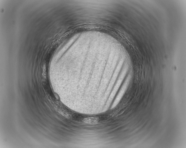 X0000085810700200704091607