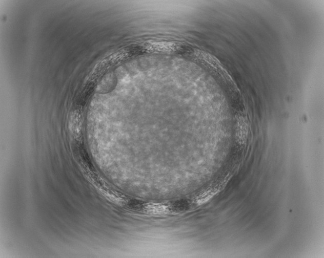 X0000085810701200704091607