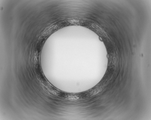 X0000085810702200704091607