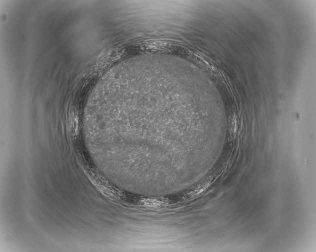 X0000085810703200704091607