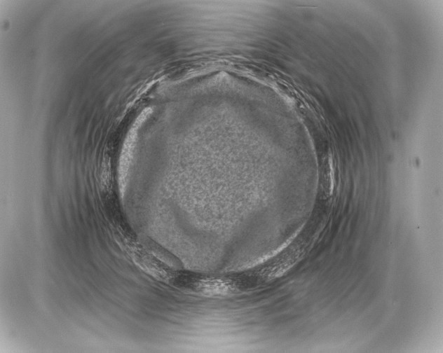 X0000085810704200704091607