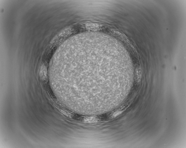 X0000085810705200704091607