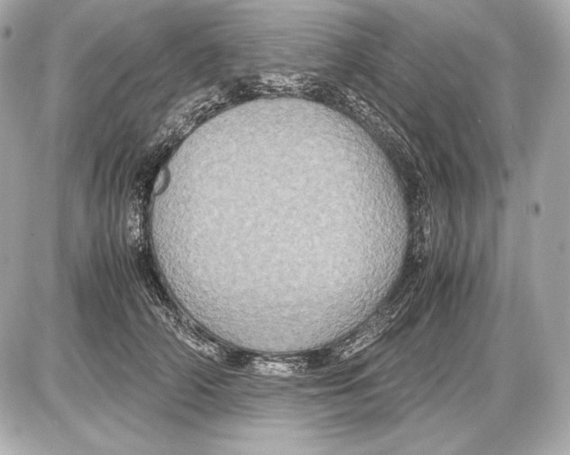 X0000085810706200704091607