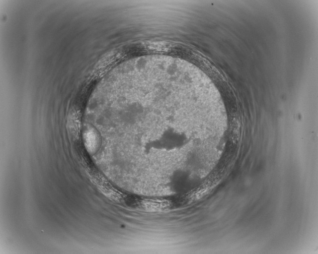 X0000085810707200704091607