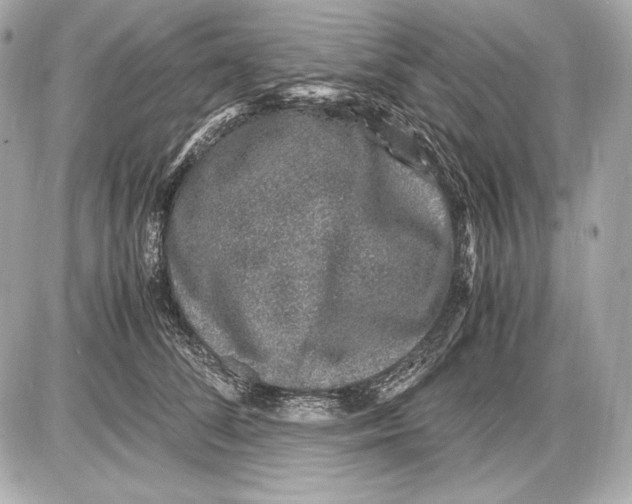 X0000085810708200704091607