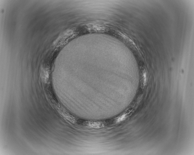 X0000085810709200704091607