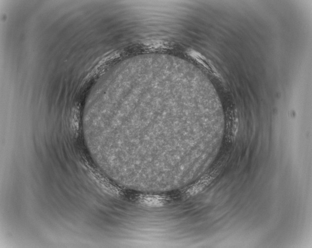 X0000085810710200704091607