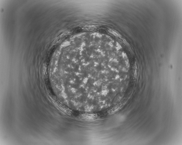 X0000085810711200704091607