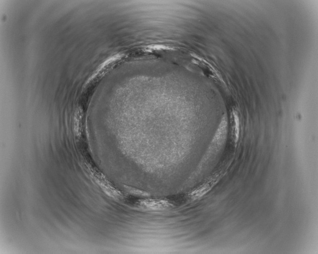 X0000085810712200704091607