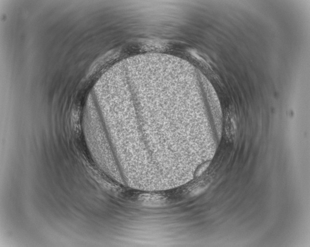 X0000085810714200704091607