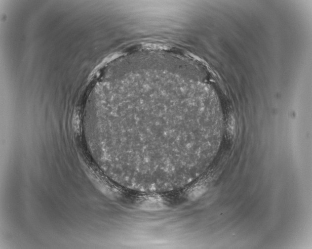 X0000085810715200704091607