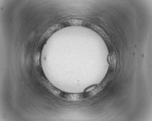 X0000085810717200704091607