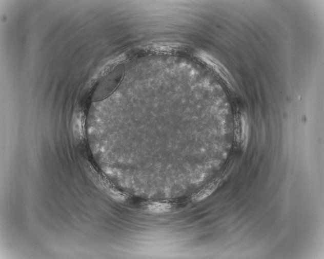 X0000085810718200704091606