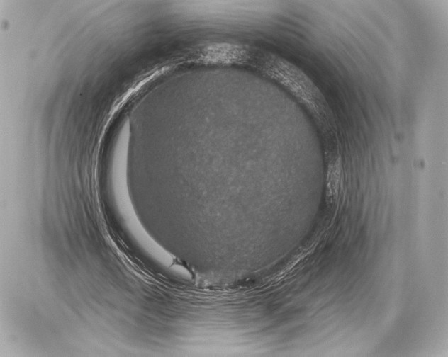 X0000085810722200704091606