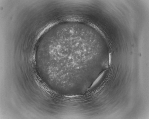 X0000085810723200704091606