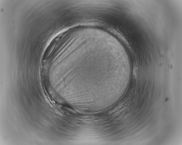 X0000085810724200704091606