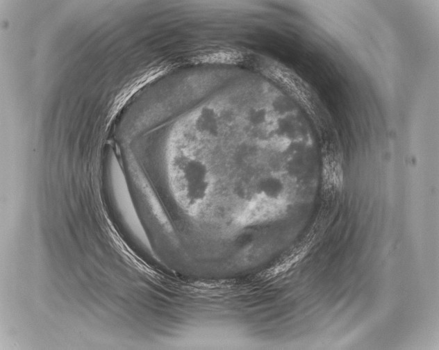 X0000085810725200704091606