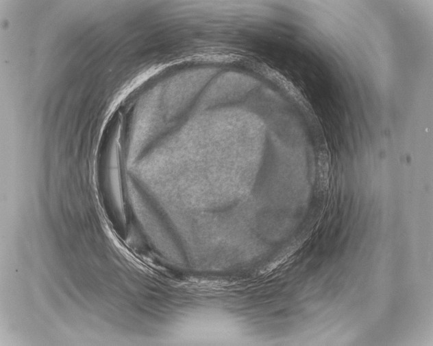 X0000085810726200704091606