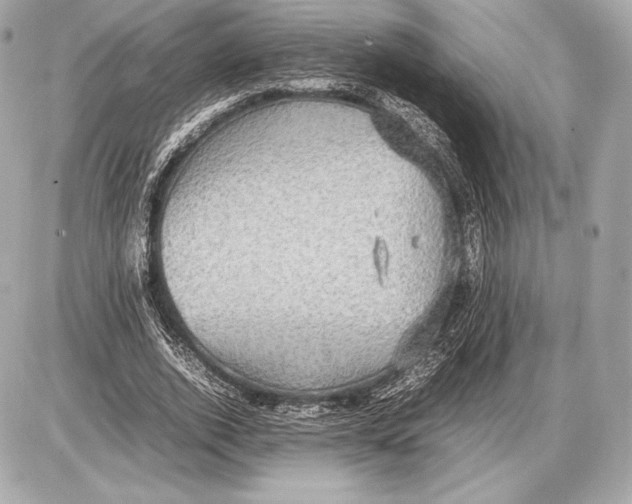 X0000085810728200704091606