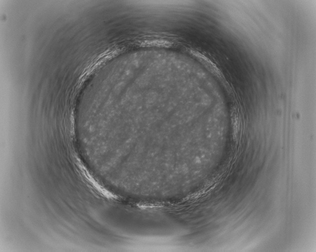 X0000085810729200704091606