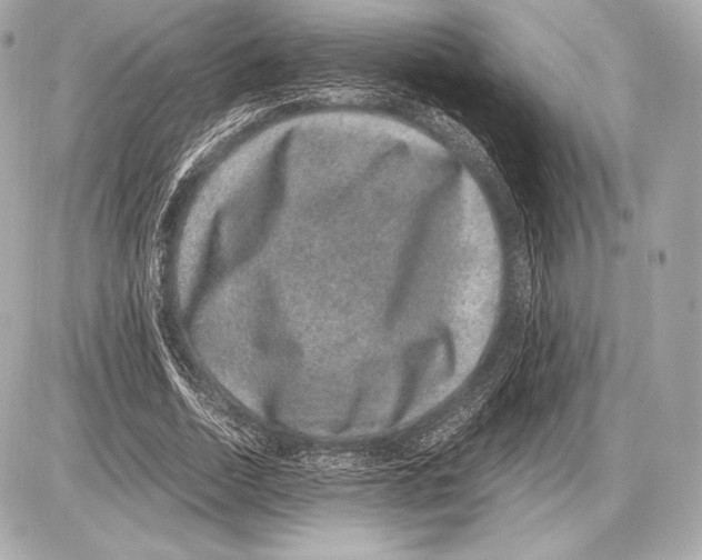 X0000085810730200704091606